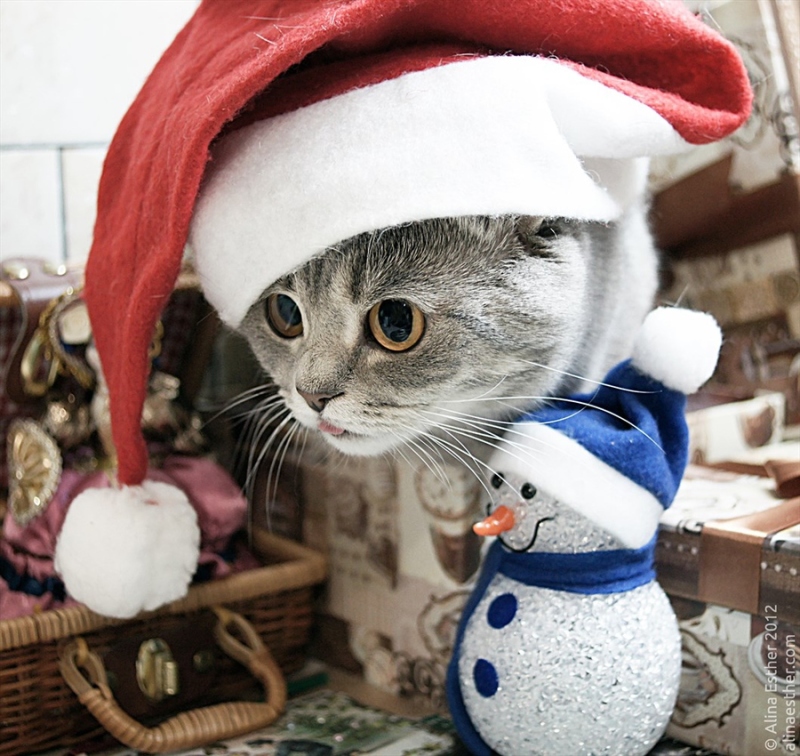 篮板下少年集结 王大陆Justin黄明昊暂别演艺圈“三亿体育”(图1) 三亿体育官网