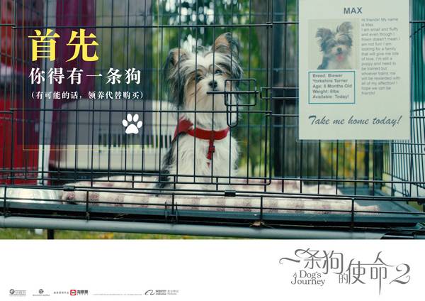 三亿体育手机版_
深海快讯:2020年上海经济师报名;浙江2020“一消”缴费时间(图5) 三亿体育