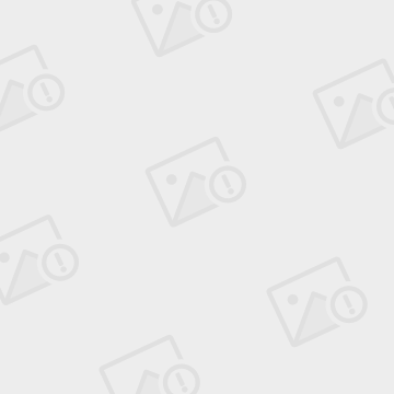 努力打造金融法治安全岛-三亿体育官网(图4) 三亿体育官网