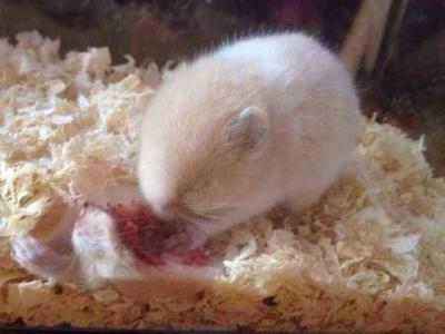 温州文成消防宣传进出租房 筑牢安全防火墙-三亿体育(图1) 三亿体育手机版