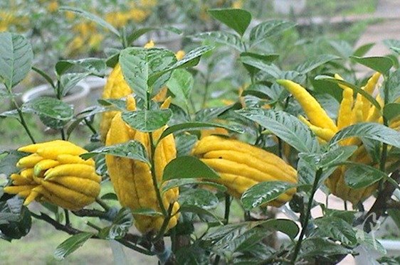 “三亿体育官网”约翰尼·德普又双叒叕去看望小朋友了 这些超级英雄不仅厉害还很暖心(图3) 三亿体育