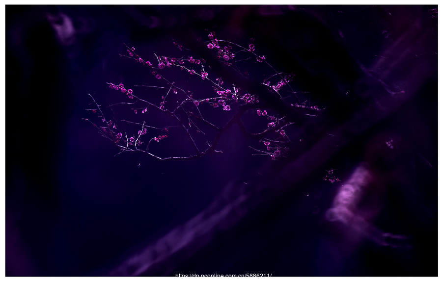 锤子科技:公司的确有危机,请给锤子一点时间:三亿体育(图1) 三亿体育手机版