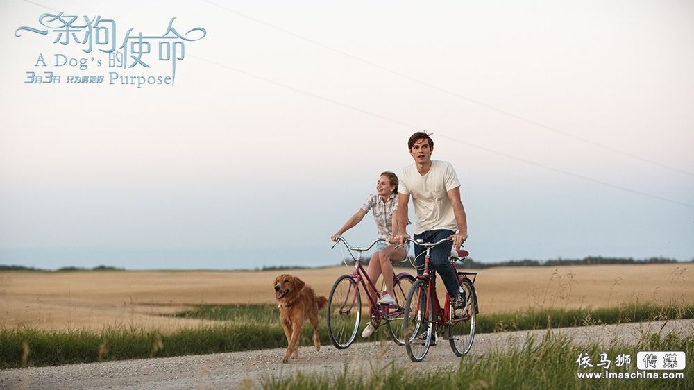 三亿体育|要揪出“医疗野广告”背后的骗人神医(图1) 三亿体育手机版